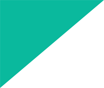 shape-1-1 shape-1-1